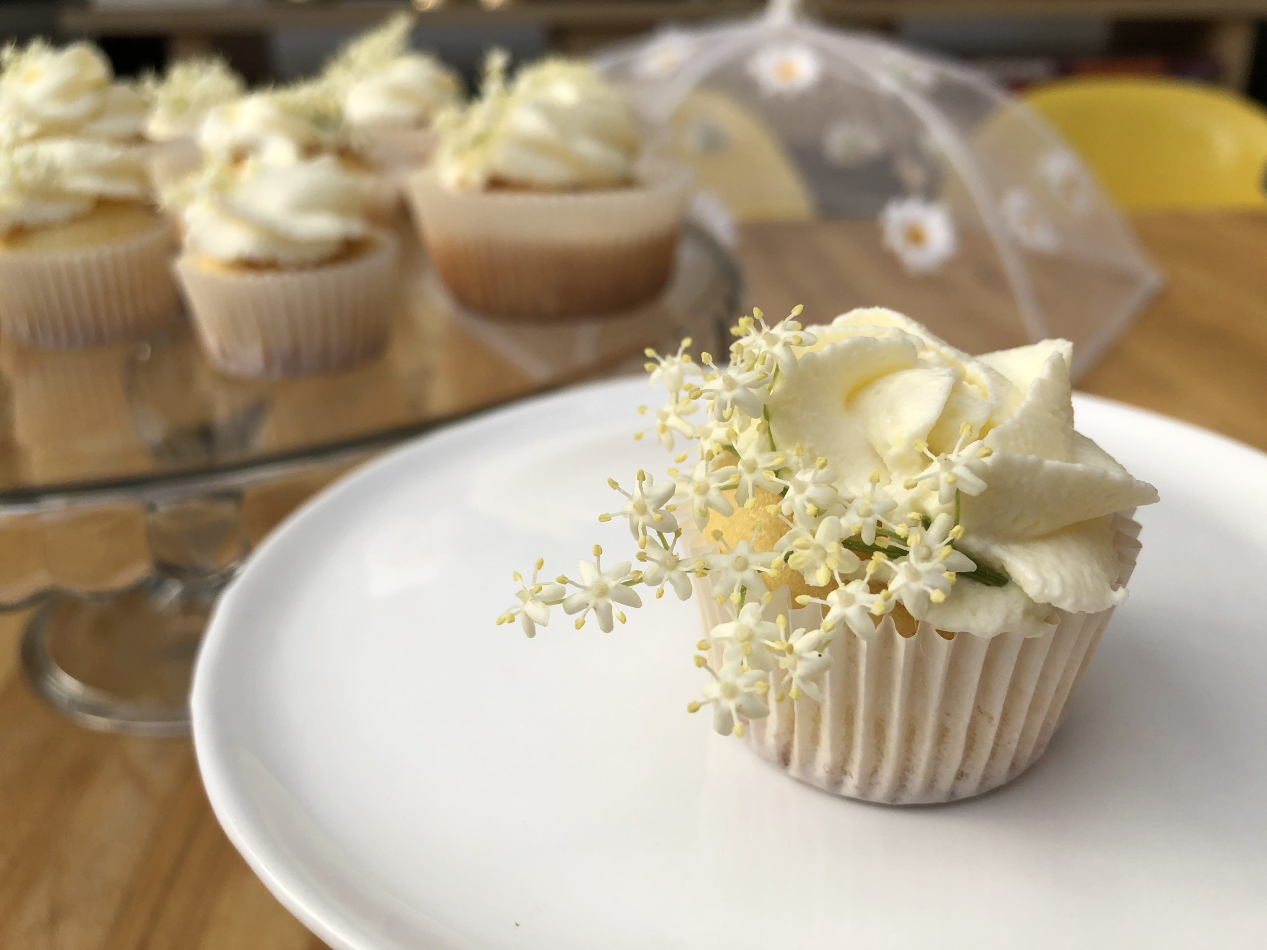 Holunderblüten Cupcakes